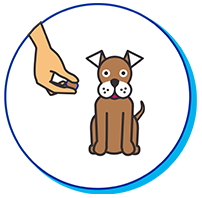 chien mange